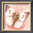 Lycaenidae by Arkadiusz Warminski Limited Edition Print