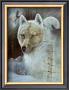 Cry Of The Wolf by Ruane Manning Limited Edition Pricing Art Print