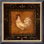 White Rooster Ii by Kim Lewis Limited Edition Pricing Art Print