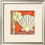 Pop Shells I by Nancy Slocum Limited Edition Pricing Art Print