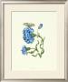 Garden Treasures Ix by Maria Sibylla Merian Limited Edition Print