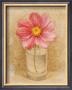 Cosmo Blossom In Glass by Danhui Nai Limited Edition Pricing Art Print