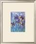 Irises I by Fay Powell Limited Edition Print