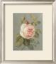 Heirloom Pink Rose by Danhui Nai Limited Edition Print