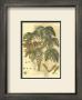 Antique Sycamore Tree by John Miller (Johann Sebastien Mueller) Limited Edition Print