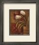 Tulip Interlude Ii by Elaine Vollherbst-Lane Limited Edition Pricing Art Print