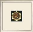 Rosette On Black I by Carlo Antonini Limited Edition Print