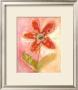 Lyrical Flower Ii by Robbin Rawlings Limited Edition Print
