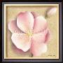 Apple Blossom Iii by Caroline Wenig Limited Edition Pricing Art Print