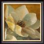 Magnolias Aglow At Sunset Ii (Detail) by Lanie Loreth Limited Edition Pricing Art Print