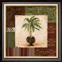 Potted Palm I by Pamela Desgrosellier Limited Edition Print