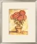 Potted Red Hydrangea by Tina Chaden Limited Edition Pricing Art Print