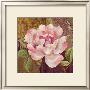 Esperance Rose by Pamela Gladding Limited Edition Pricing Art Print