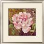 Esperance Rose by Pamela Gladding Limited Edition Print