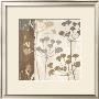 Flowers And Ferns I by Klein Design Limited Edition Print