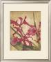 Hawaiian Tropics I by Elizabeth Jardine Limited Edition Print