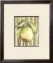 Fruit And Bamboo Iv by Ethan Harper Limited Edition Pricing Art Print