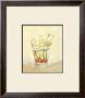White Flowers In Glass by Cuca Garcia Limited Edition Print