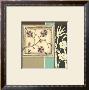 Asian Plum Blossoms Ii by Ethan Harper Limited Edition Print