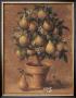 Pear Tree by Joaquin Moragues Limited Edition Print