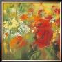 Oriental Poppy Field Ii by Carol Rowan Limited Edition Pricing Art Print