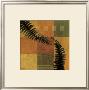 Fern Blocks Ii by Tandi Venter Limited Edition Pricing Art Print