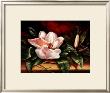 Magnolias On Red Ii by Peggy Thatch Sibley Limited Edition Pricing Art Print