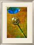 Reve Bleu by Jean-Francois Dupuis Limited Edition Print
