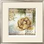 Globeflower Fresco Ii by Megan Meagher Limited Edition Print