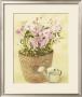 Pink Flowers In Basket With Watering Can by Cuca Garcia Limited Edition Print