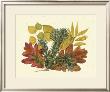 White Oak, Balsam Fir And Yellow Birch by Denton Limited Edition Print
