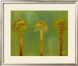 Three Palms Ii by Patricia Quintero-Pinto Limited Edition Pricing Art Print