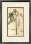 Botanica Ii by Ludwig Van Houtte Limited Edition Print