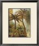 Bonaire I by Edwin Douglas Limited Edition Print