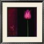 Red Tulip I by Rick Filler Limited Edition Pricing Art Print