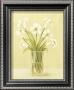 White Flowers In Square Vase by Cuca Garcia Limited Edition Print