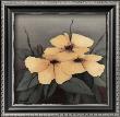 Yellow Flowers I by Andre Limited Edition Print