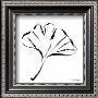 Ginkgo Leaf by Paul Desny Limited Edition Pricing Art Print