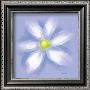 Daisy by Anthony Morrow Limited Edition Print