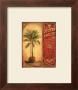Palm Exhibit I by Daphne Brissonnet Limited Edition Print