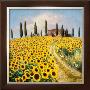 Sunflowers I by Barbara Carter Limited Edition Print