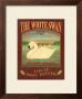 The White Swan by Martin Wiscombe Limited Edition Print