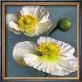 Poppy Parfait I by Janel Pahl Limited Edition Print