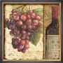 Vino Ii by Lisa Audit Limited Edition Print