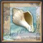 Serenity Shell by Todd Williams Limited Edition Pricing Art Print