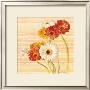 Dancing Gerberas by Danhui Nai Limited Edition Print