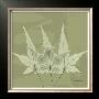 Color Me Maple Green Ii by Albert Koetsier Limited Edition Print