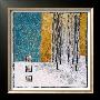 Deep Snow Iv by Lorraine Roy Limited Edition Print