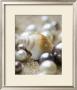 Sea Jewels I by Boyce Watt Limited Edition Pricing Art Print