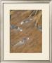 Gilded Quietude by Jurgen Gottschlag Limited Edition Pricing Art Print